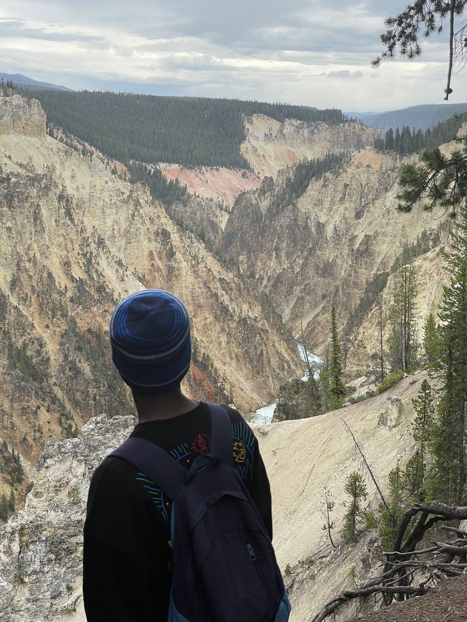 Lennon looking into the distance of Yellowstone national park